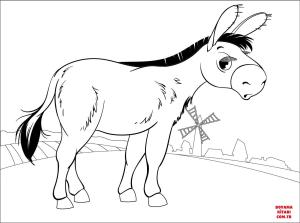 Eşek boyama sayfası, Donkeys coloring page, , donkeys donkey 