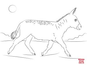 Eşek boyama sayfası, Donkeys coloring page, , donkeys walking donkey 