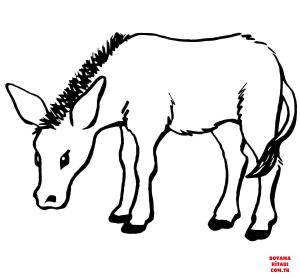 Eşek boyama sayfası, Donkeys coloring page, , donkeys little donkey 