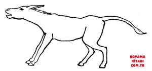 Eşek boyama sayfası, Donkeys coloring page, , donkeys burro 