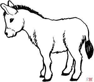 Eşek boyama sayfası, Donkeys coloring page, , donkeys donkey 