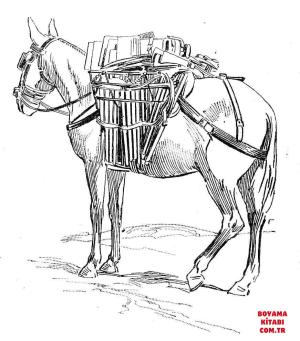 Eşek boyama sayfası, Donkeys coloring page, , donkeys donkey 