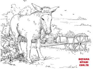 Eşek boyama sayfası, Donkeys coloring page, , donkeys donkey