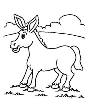 Eşek boyama sayfası, Donkeys coloring page, Basit Eşek, 