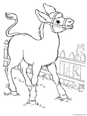 Eşek boyama sayfası, Donkeys coloring page, Ahırda Eşek, 