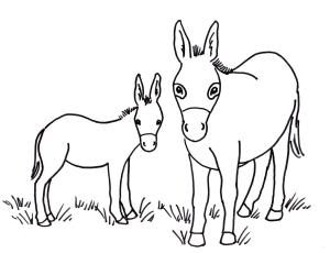 Eşek boyama sayfası, Donkeys coloring page, Iki Eşek, 