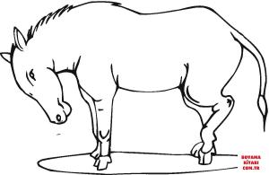 Eşek boyama sayfası, Donkeys coloring page, , donkeys stubborn donkey 