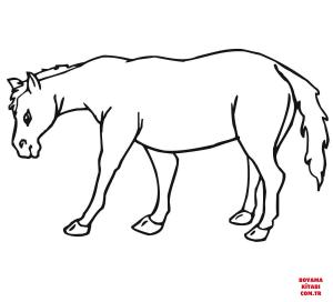 Eşek boyama sayfası, Donkeys coloring page, , donkeys mule 