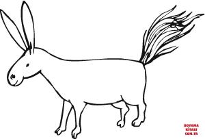 Eşek boyama sayfası, Donkeys coloring page, , donkeys donkey