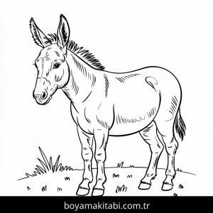 Eşekler boyama sayfası – çocuklar için, çizgi film temalı