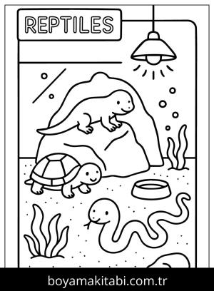 Evcil Hayvan Dükkanı boyama sayfası,  coloring page, , Pets Store With Reptile