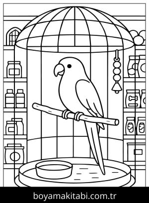 Evcil Hayvan Dükkanı boyama sayfası,  coloring page, , Pets Store With Bird