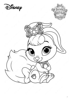 Evcil Hayvanlar boyama sayfası,  coloring page, Güzel evcil hayvan, 