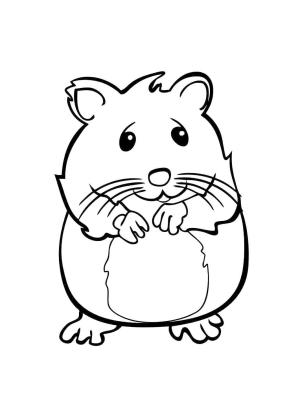 Evcil Hayvanlar boyama sayfası,  coloring page, Hamster Fare, 