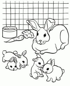 Evcil Hayvanlar boyama sayfası,  coloring page, Tavşan, 