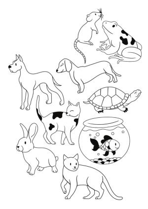 Evcil Hayvanlar boyama sayfası,  coloring page, Evcil Hayvanları Yazdır, 