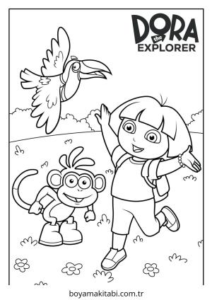 Explorer Boyama