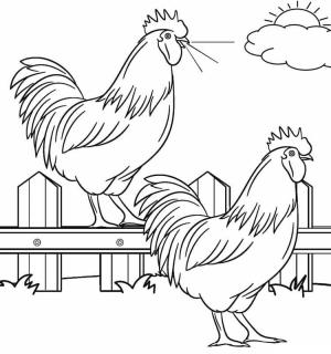 Çiftlik boyama sayfası,  coloring page, Çiftlikte İki Rakun, 