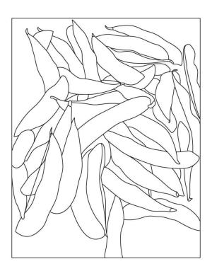 Fasulye boyama sayfası,  coloring page, Mükemmel Fasulye, 