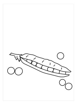 Fasulye boyama sayfası,  coloring page, Temel Yeşil Fasulye, 