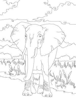 Fil boyama sayfası, Elephants coloring page, , elephants african bush elephant 