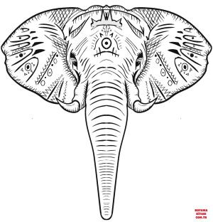 Fil boyama sayfası, Elephants coloring page, , elephants elephant head 