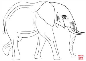 Fil boyama sayfası, Elephants coloring page, , elephants african elephant 