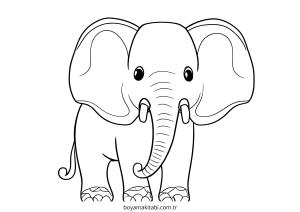 Fil boyama sayfası – renkli çizimler, okul öncesi