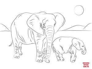 Fil boyama sayfası, Elephants coloring page, , elephants african elephant family 