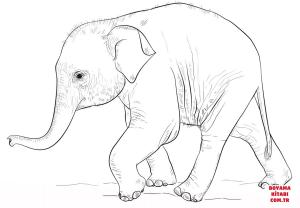 Fil boyama sayfası, Elephants coloring page, , elephants cute baby elephant 