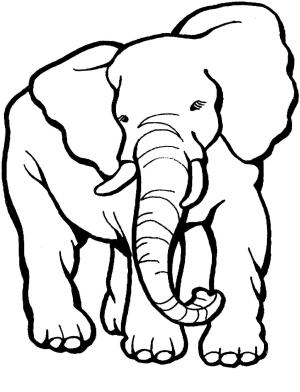 Fil boyama sayfası, Elephants coloring page, Müthiş Fil, 