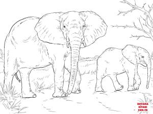 Fil boyama sayfası, Elephants coloring page, , elephants african elephant mother and baby 