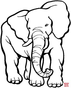 Fil boyama sayfası, Elephants coloring page, , elephants elephant 