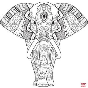 Fil boyama sayfası, Elephants coloring page, , elephants zentangle elephant 