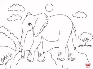 Fil boyama sayfası, Elephants coloring page, , elephants elephant 