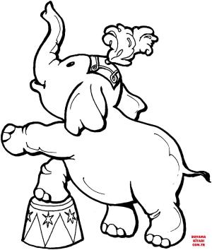 Fil boyama sayfası, Elephants coloring page, , elephants baby elephant in a circus 