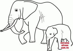 Fil boyama sayfası, Elephants coloring page, , elephants baby elephant with mother 