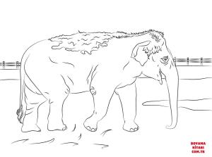 Fil boyama sayfası, Elephants coloring page, , elephants cute indian elephant 