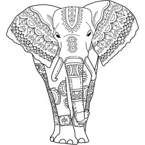 Fil boyama sayfası, Elephants coloring page, Fil Yetişkin Içindir, 