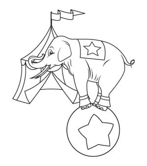 Fil boyama sayfası, Elephants coloring page, Sirkteki Fil, 