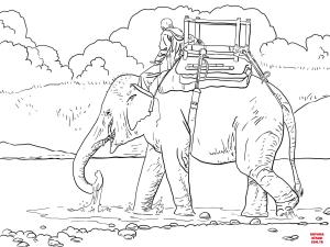 Fil boyama sayfası, Elephants coloring page, , elephants riding indian elephant 