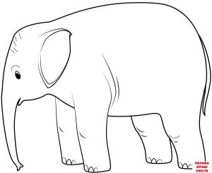 Fil boyama sayfası, Elephants coloring page, , elephants baby elephant 