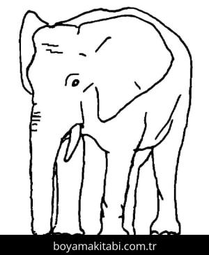 Filler boyama sayfası – boyama etkinliği, çocuk aktivitesi