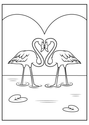 Flamingo boyama sayfası,  coloring page, Suda Çift Flamingolar, 