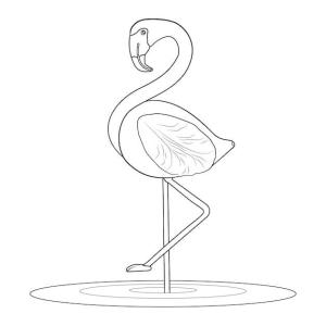 Flamingo boyama sayfası,  coloring page, Yazdırılabilir Flamingo, 