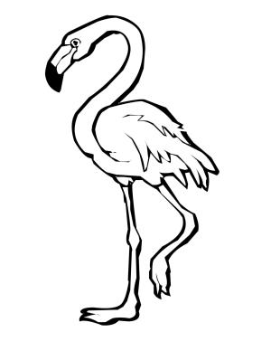 Flamingo boyama sayfası,  coloring page, Flamingo çizimi, 