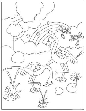 Flamingo boyama sayfası,  coloring page, Yusufçuklu İki Flamingo, 