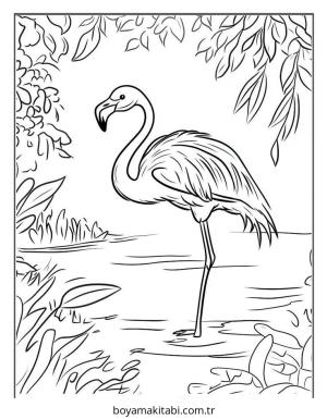 Flamingo boyama sayfası – renkli çizimler, okul öncesi
