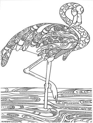 Flamingo boyama sayfası,  coloring page, Flamingo Mandala, 