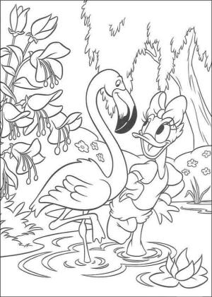 Flamingo boyama sayfası,  coloring page, Papatya ve Flamingo, 